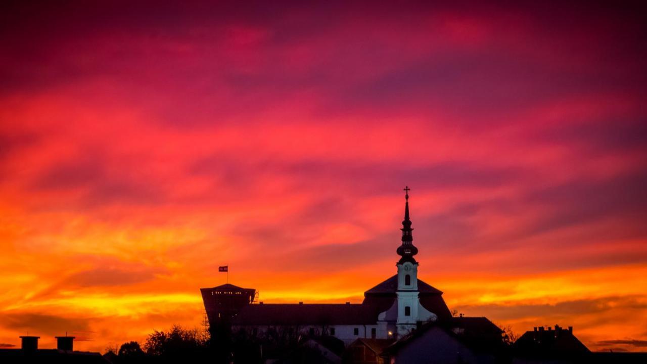 Vila Rosa Vukovar Bed & Breakfast Exterior foto